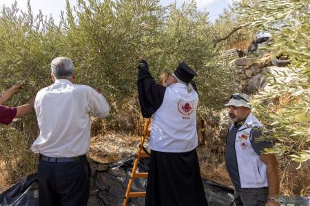 وكالة بيت مال القدس تواصل دعم قاطفي الزيتون ضمن حملة "عونة 2026"